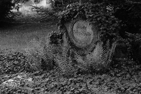 Alter Friedhof Schwenningen 1127