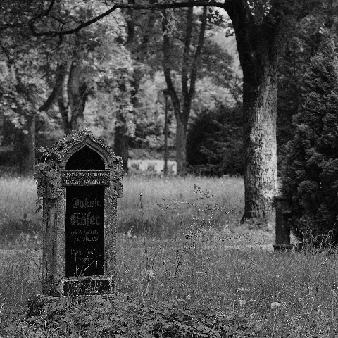 Alter Friedhof Schwenningen 1146