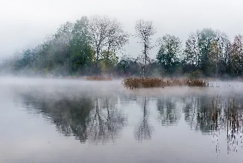 Alter Rhein Bei Hohenems Herbst 2014