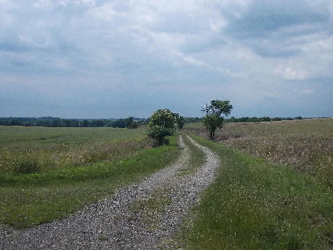 Dahlener Straße