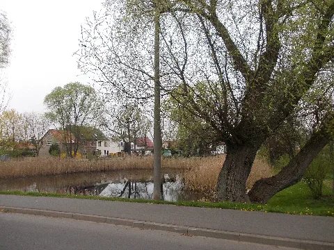 Altjeßnitzdorfteich