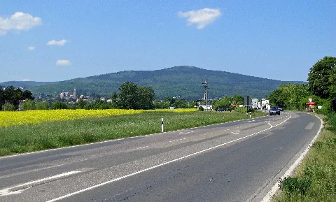 Altkoenig 2011 Kronberg 045