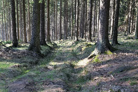 Altkönig 2020 03 25 83