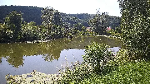 Altmühltal (20923932616)