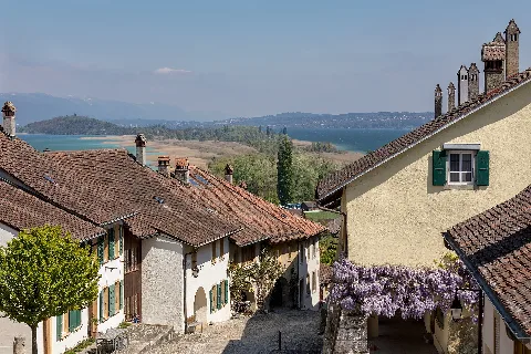 Altstadt Von Erlach Be Mit Petersinsel