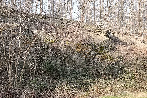 Alzenau, quarry between Hoerstein and Hohl, geotope 671A015, object ID (Bavarian soil information system) 5920GT000004 in "LSG innerhalb des Naturparks Spessart (ehemals Schutzzone)"