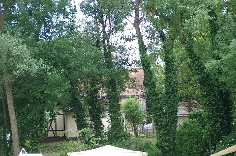 Am Burglehn 12 Lübben