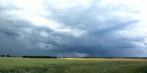 Am Diedrichshagener Berg