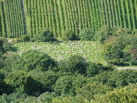 Am Fuße Des Hohenneuffen Panoramio