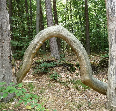 Am Kreuzweg Panoramio