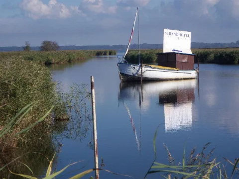 Am Saaler Bodden