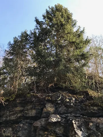 Am Schwarzen Loch