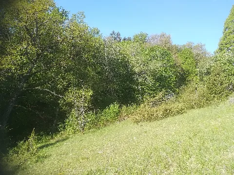 Am Tiefen Weg