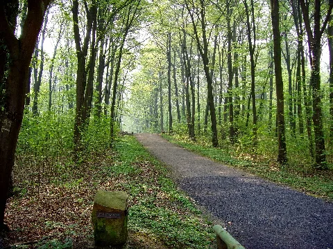 Am Weingarten Panoramio