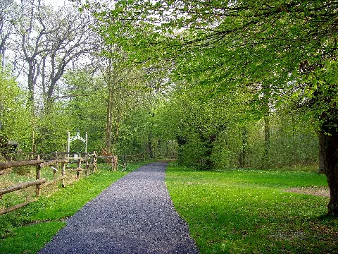 Am Weingarten Panoramio Foto Fitti (1)