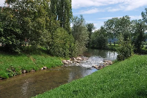 Ammermündung In Lustnau
