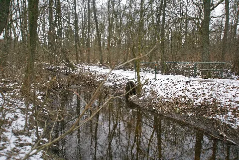 Ammersbek Hamborg Moorbek Deepenreingraben
