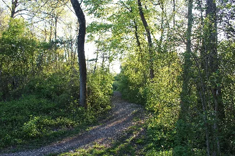 Amperauen02