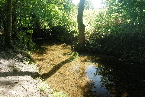 Amstelbach Nahe Der Obermühle