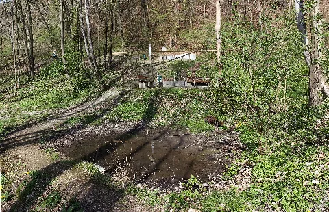 Amstetten Naturdenkmal Am 081 Kalktuffquellen Am Jakobsbrunnenweg Ii