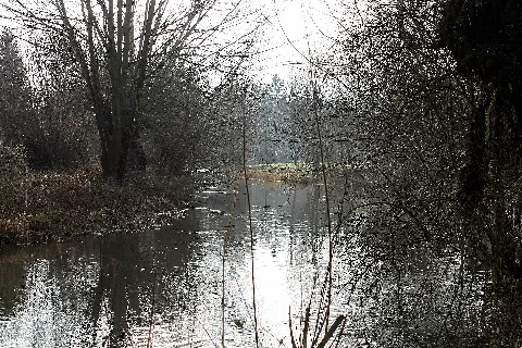 An Der Leine, Göttingen Panoramio