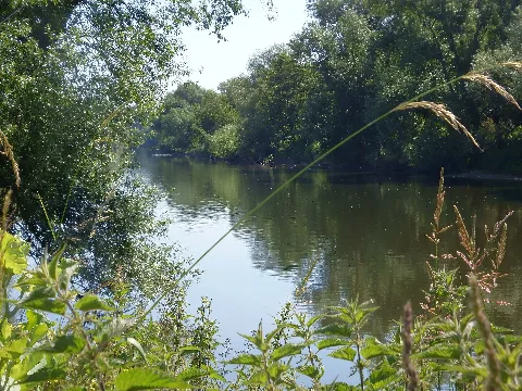 An Der Mündung Der Sieg