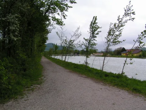 An Der Saalach (Kurz Vor Dem Kraftwerk) Geo.hlipp.de 9647