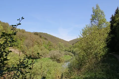 An Der Urfttalsperre Panoramio