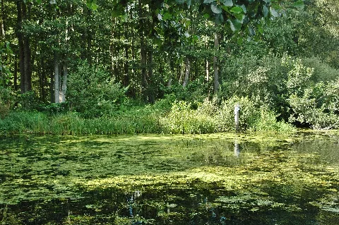 An Der Wakenitz Panoramio