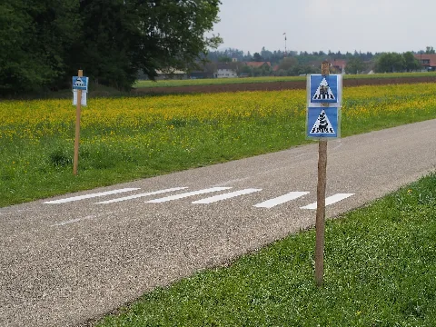 Animal Zebra Crossing