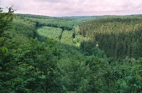 Annarode Rossberg