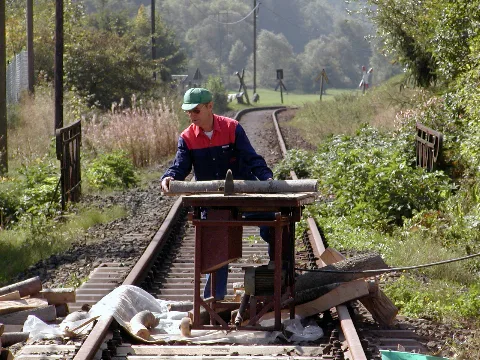 Arbeiter Beim Sägen