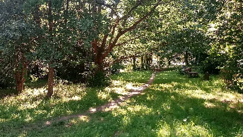 Arboretum Lauda 00