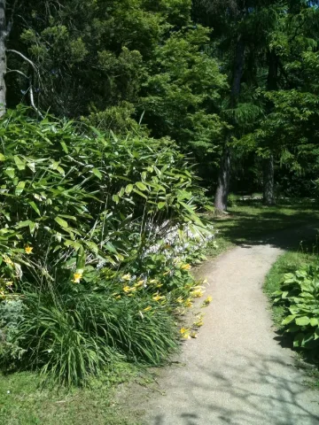 Arboretum Mz