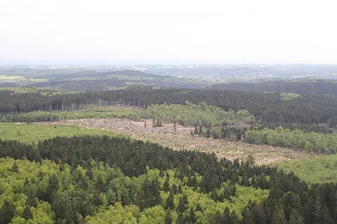 Arnsberger Wald Mit Hamorsbruch