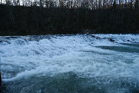 Arve @ Chêne Bougeries (50837832456)