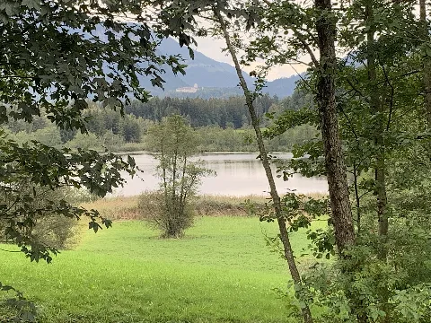 Aschau Im Chiemgau, Bärnseemoor (2)