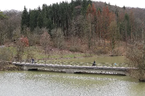 Aschbachsee 06