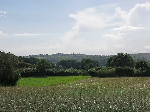 Aschberg