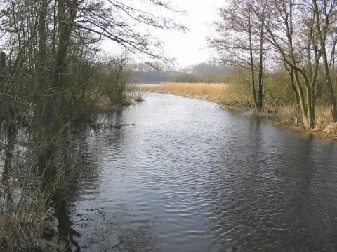 Aubach Bei Medeweger See