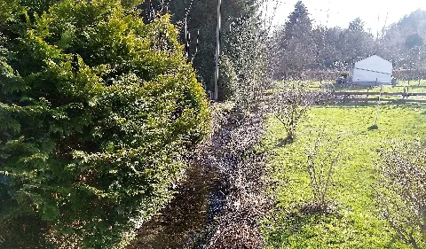 Aubach Fließt Aus Dem Wald
