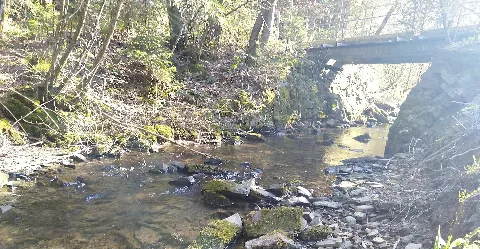 Aubach Im Aubachtal