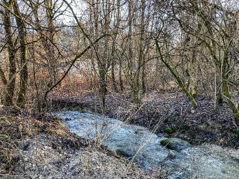 Auer Bach (Schlierach)