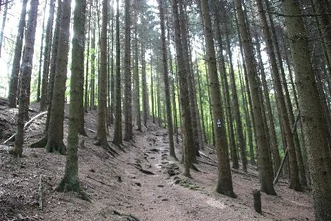 Auf Dem Jakobsweg Panoramio (3)