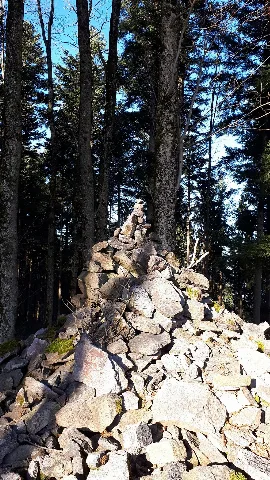 Auf Dem Steinfirst Bei Gengenbach