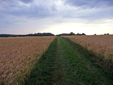Auf Der Hochebene In Der Nähe Von Sulz Am Eck Panoramio