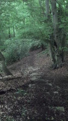 Aufderklippe