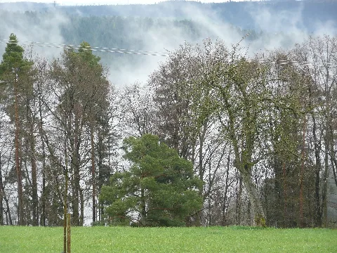 Aufsteigender Nebel Aus Dem Nagoldtal Bei Altbulach Panoramio