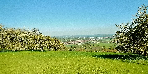Ausblick Panoramio (44)