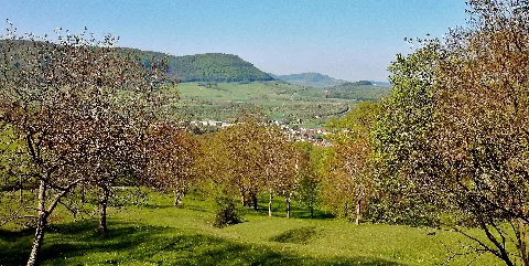 Ausblick Panoramio (45)